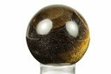 Polished Tiger's Eye Sphere #241613-1